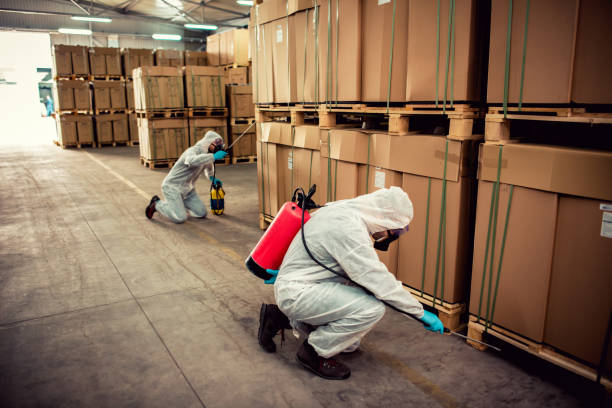 Best Best Pest Control Companies  in Oill, NE