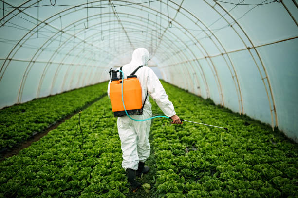 Professional Pest Control in Oneill, NE