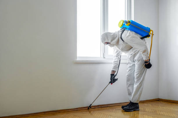 Best Termite Control Services  in Oill, NE