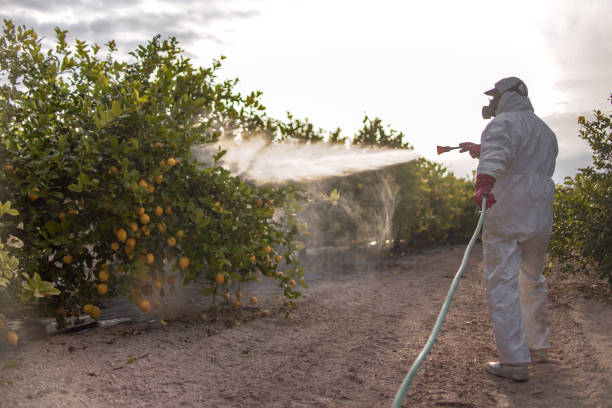 Best Commercial Pest Control Services  in Oill, NE