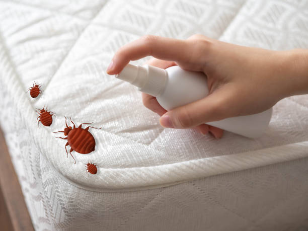Best Affordable Pest Control Services  in Oill, NE