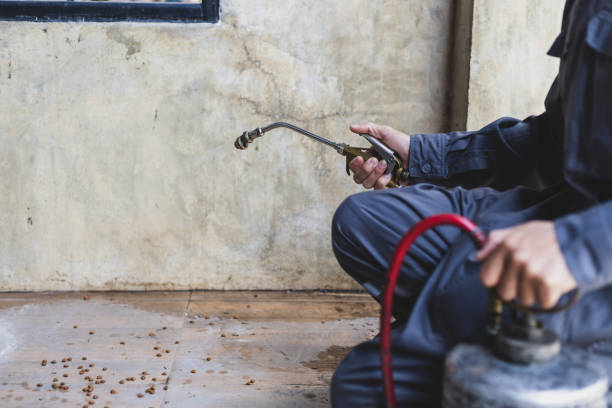 Best Pest Removal Services  in Oill, NE